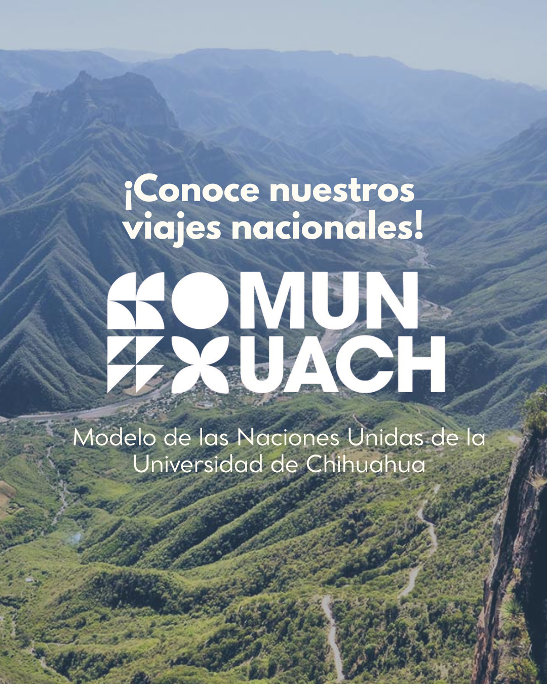 imagen 0